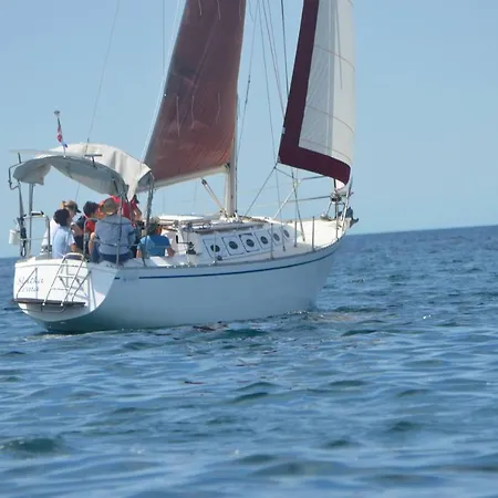 Ghedas * Porec